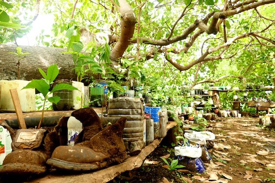 Green Shipyard Treeplanting.jpg