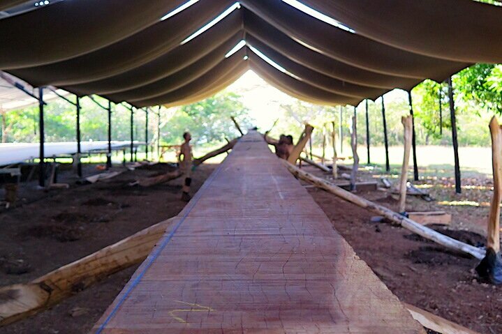 Laying Ceiba's keel.jpg